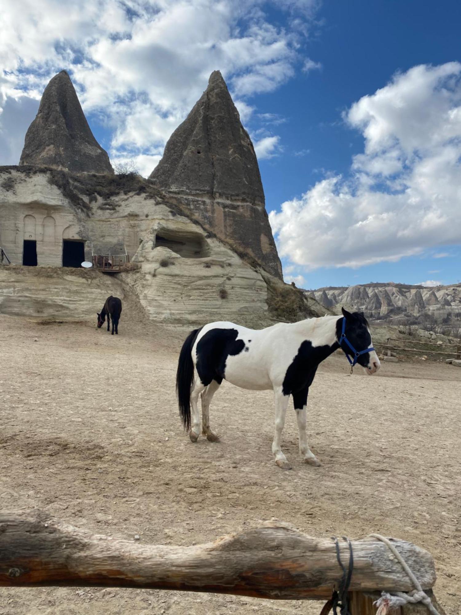 Sinasos Evleri Hotel Nevşehir Eksteriør billede